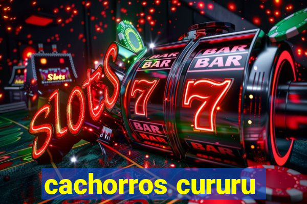 cachorros cururu